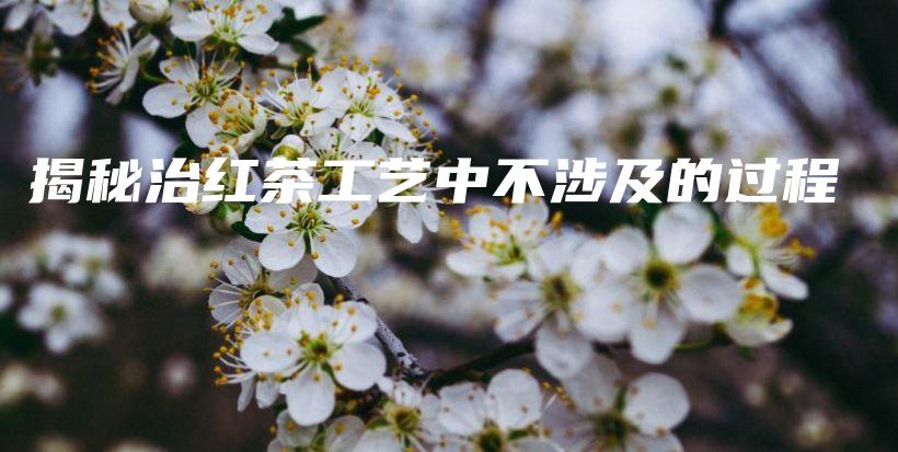 揭秘治红茶工艺中不涉及的过程插图