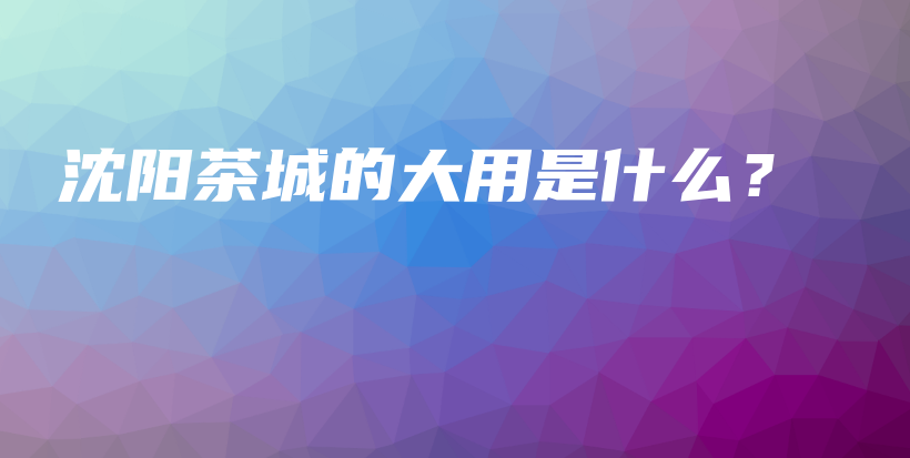 沈阳茶城的大用是什么？插图