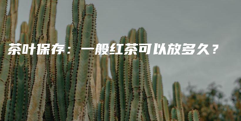 茶叶保存:一般红茶可以放多久?插图 茶叶保存:一般红茶可以放多久?插图