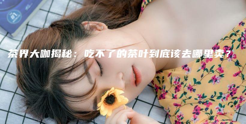 茶界大咖揭秘：吃不了的茶叶到底该去哪里卖？插图