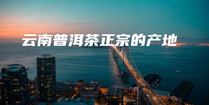 云南普洱茶正宗的产地插图