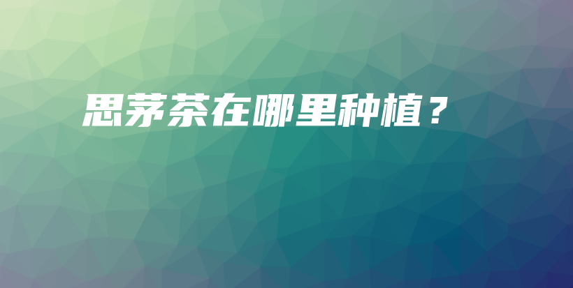 思茅茶在哪里种植？插图