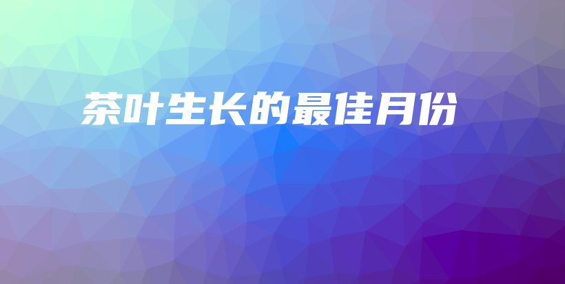茶叶生长的最佳月份插图