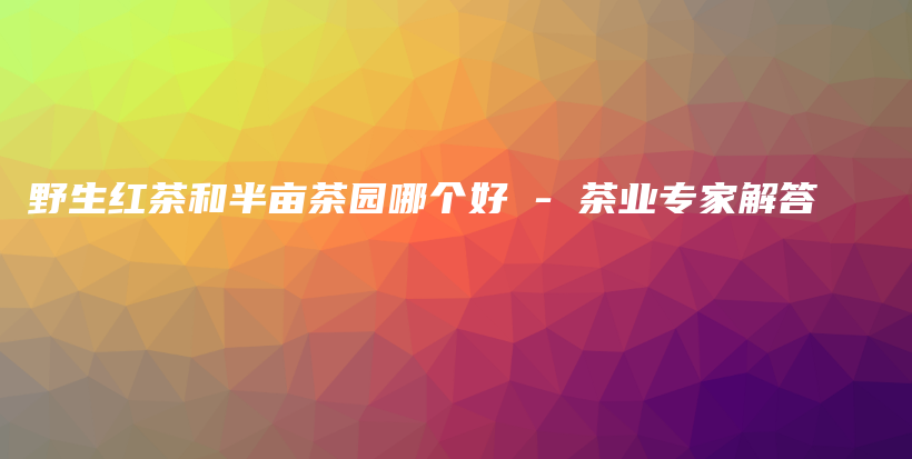 野生红茶和半亩茶园哪个好 – 茶业专家解答插图