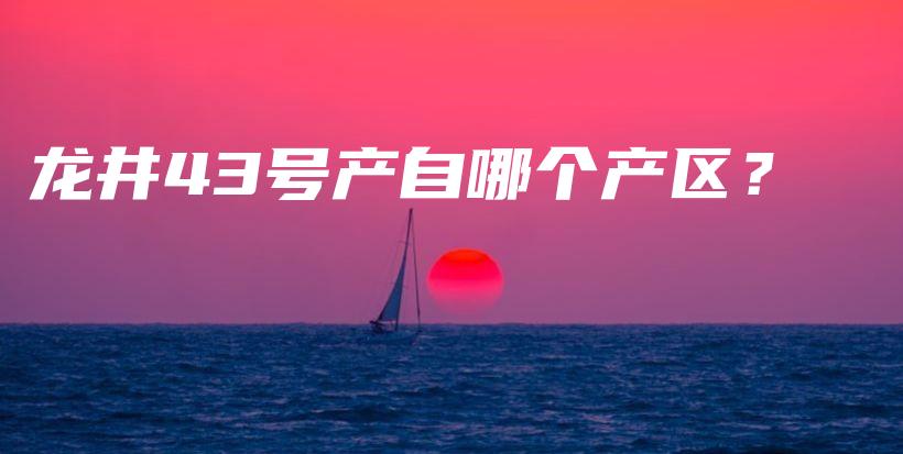 龙井43号产自哪个产区？插图