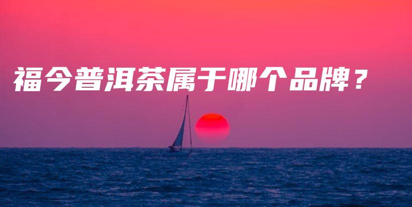 福今普洱茶属于哪个品牌？插图